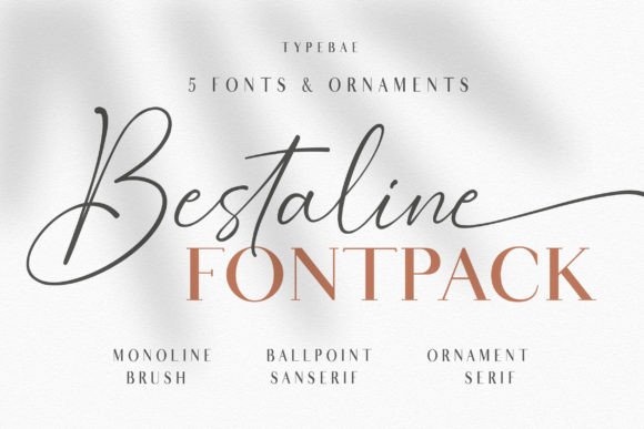 Bestaline Typeface Review: Elevating Digital Brand Identity