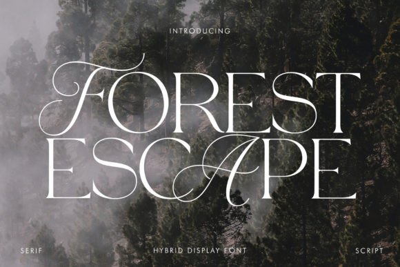 Forest Escape: Elevating Brand Identity with a Premium Serif Typeface